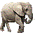 象（アフリカゾウ）／アイコン
