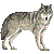狼（タイリクオオカミ）／アイコン