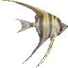 あるたむ・えんぜるふぃっしゅのあいこん