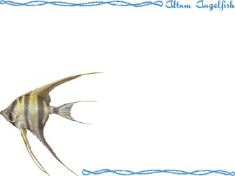 アルタム・エンゼル フィッシュの年賀状／非商用無料イラスト