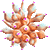 Bubble-tip Anemone thumbnail