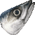 Chub Mackerel thumbnail