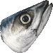 サバ・アイコン