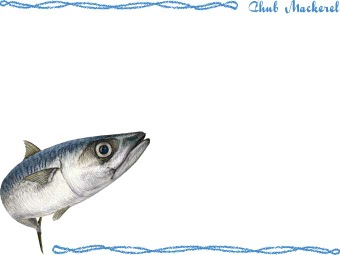 （マサバ）真鯖の年賀状／非商用無料イラスト
