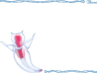 クリオネ、ハダカカメガイの年賀状／非商用無料イラスト