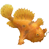 かえるあんこうのあいこん