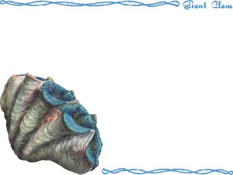 オオシャコガイ、オオジャコガイ（大硨磲貝）の年賀状／非商用無料イラスト