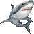 ホオジロザメ／アイコン