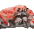 Japanese Spider Crab thumbnail