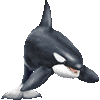 しゃちのあいこん