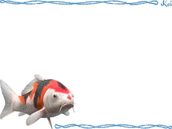（錦鯉）ニシキゴイ／コイの年賀状／非商用無料イラスト