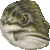 Largemouth Bass thumbnail