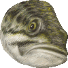 オオクチバス・あいこん