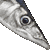 Mackerel Pike, Pacific Saury thumbnail