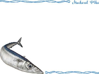 （秋刀魚）サンマの年賀状／非商用無料イラスト