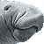 マナティーのサムネイル