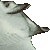 Manta Ray thumbnail