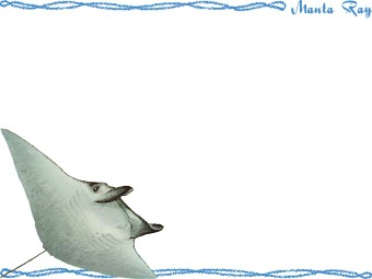 オニイトマキエイ、マンタの年賀状／非商用無料イラスト