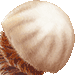 エチゼンクラゲ・アイコン