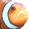 かくれくまのみのあいこん