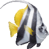 はたたてだいのあいこん