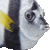 Pennant Coralfish thumbnail