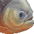 Piraya Piranha thumbnail