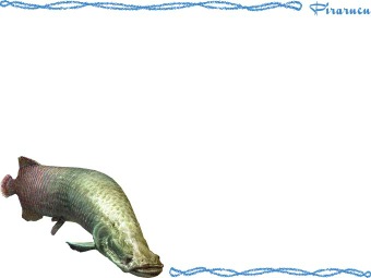 ピラルクー、アラパイマの年賀状／非商用無料イラスト