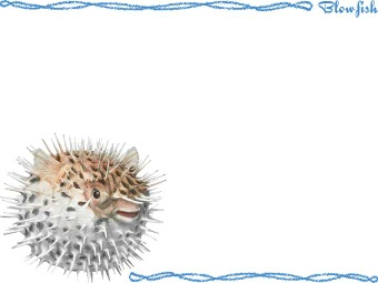 （針千本）ハリセンボンの年賀状／非商用無料イラスト