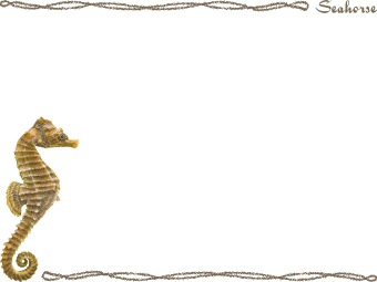 （竜の落とし子）タツノオトシゴの年賀状／非商用無料イラスト