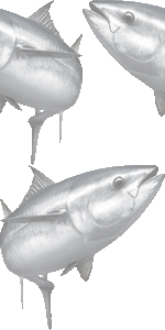 クロマグロの壁紙／非営利無料イラスト