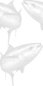 黒マグロの壁紙／条件付きフリー画像