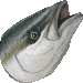ツバス・アイコン