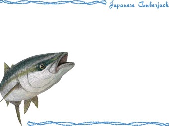 ブリ（イナダ、ハマチ、ワラサ）の年賀状／非商用無料イラスト