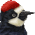 Acorn Woodpecker thumbnail