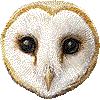 メンフクロウ・あいこん