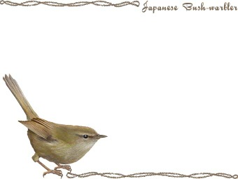 （鶯、鴬）ウグイスの年賀状／非商用無料イラスト
