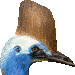 火食鳥・アイコン