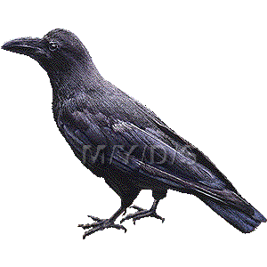 カラスのイラスト／無料素材集（条件付）