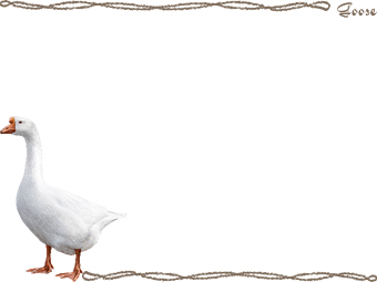 （鵞鳥、鵝鳥）ガチョウの年賀状／非商用無料イラスト