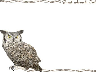 アメリカ ワシミミズク／（梟）フクロウの年賀状／非商用無料イラスト