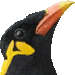 きゅうかんちょう・アイコン
