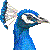 Indian Peafowl thumbnail