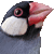 Java Sparrow,  Java Finch thumbnail