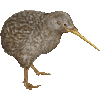 こまだらきーうぃのあいこん