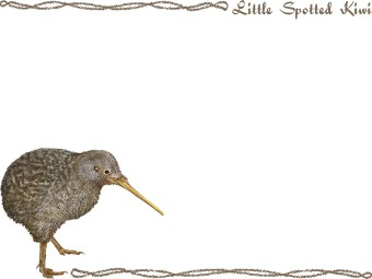 コマダラ キウィの年賀状／非商用無料イラスト
