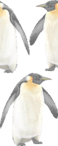コウテイペンギンの壁紙／非営利無料イラスト