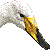 Whooper Swan thumbnail