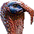 Turkey thumbnail