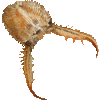 アリジゴク・あいこん